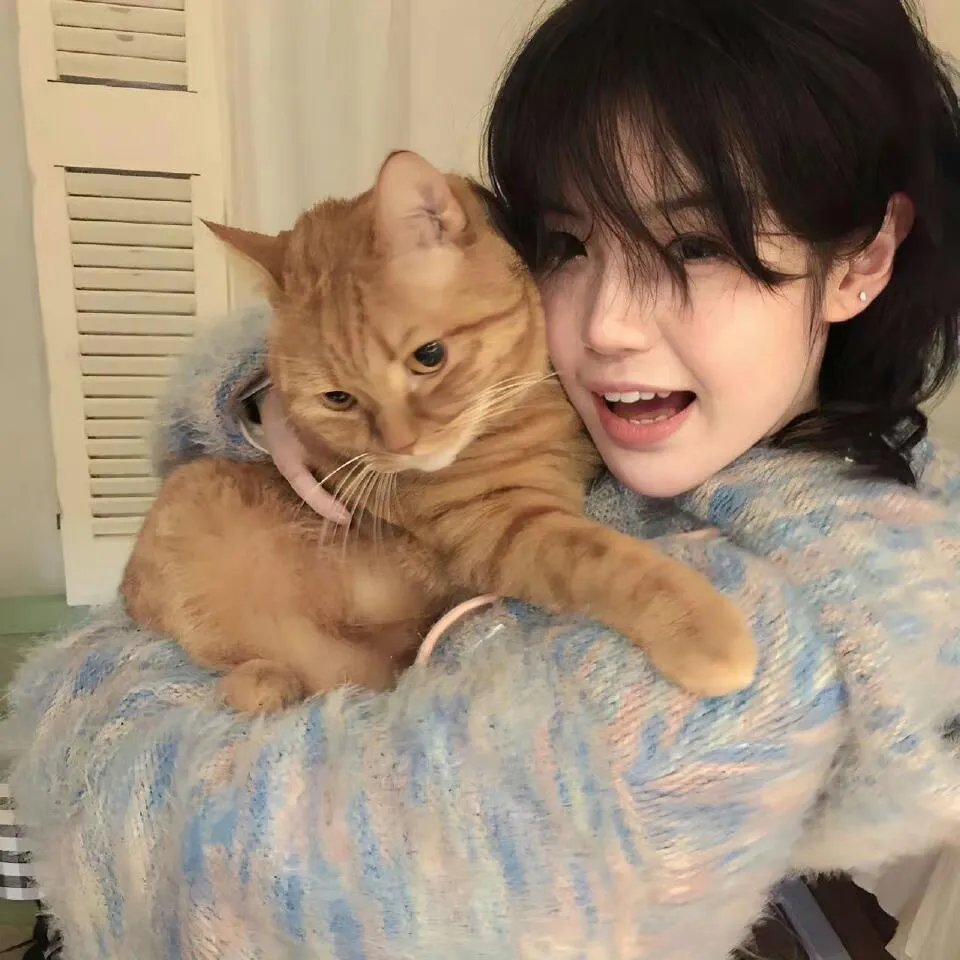 Red Eyes 监视搜查班